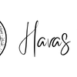 havas-efsay-logo-0001